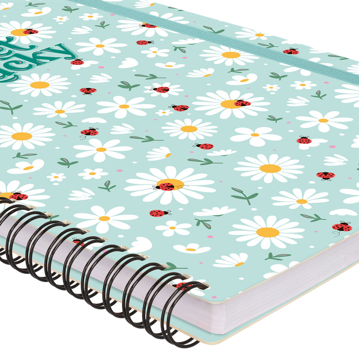 Cahier Ligné A4 à Couverture Rigide Illustrée - Ladybug - Bloc-mémo - Avec Spirale