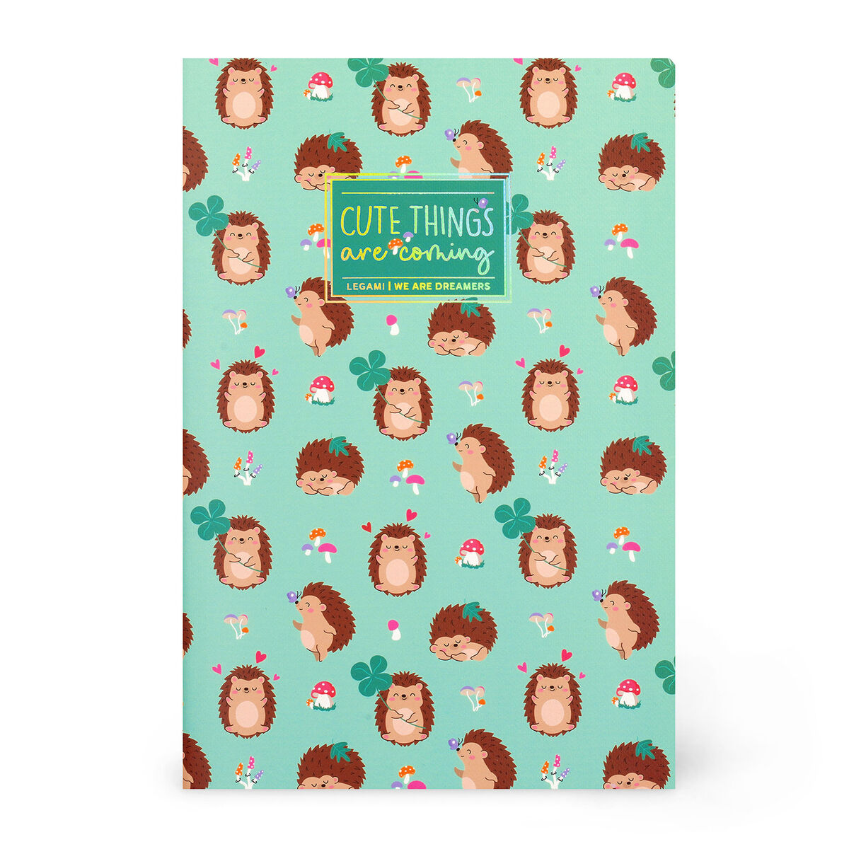 Cahier Ligné A5 à Couverture Rigide Illustré - Hedgehog