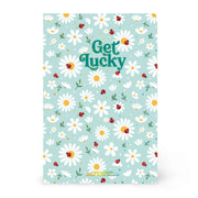 Cahier Ligné A5 à Couverture Rigide Illustré - Ladybug
