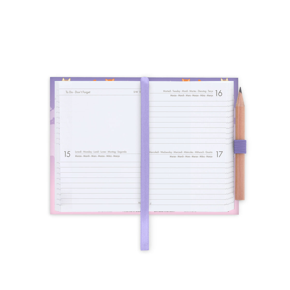 Agenda 12 Mois Bi-journalier Photographique Mini 2027 - Kitty