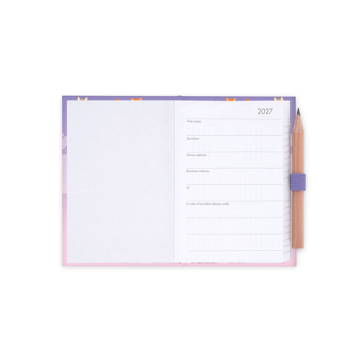 Agenda 12 Mois Bi-journalier Photographique Mini 2027 - Kitty