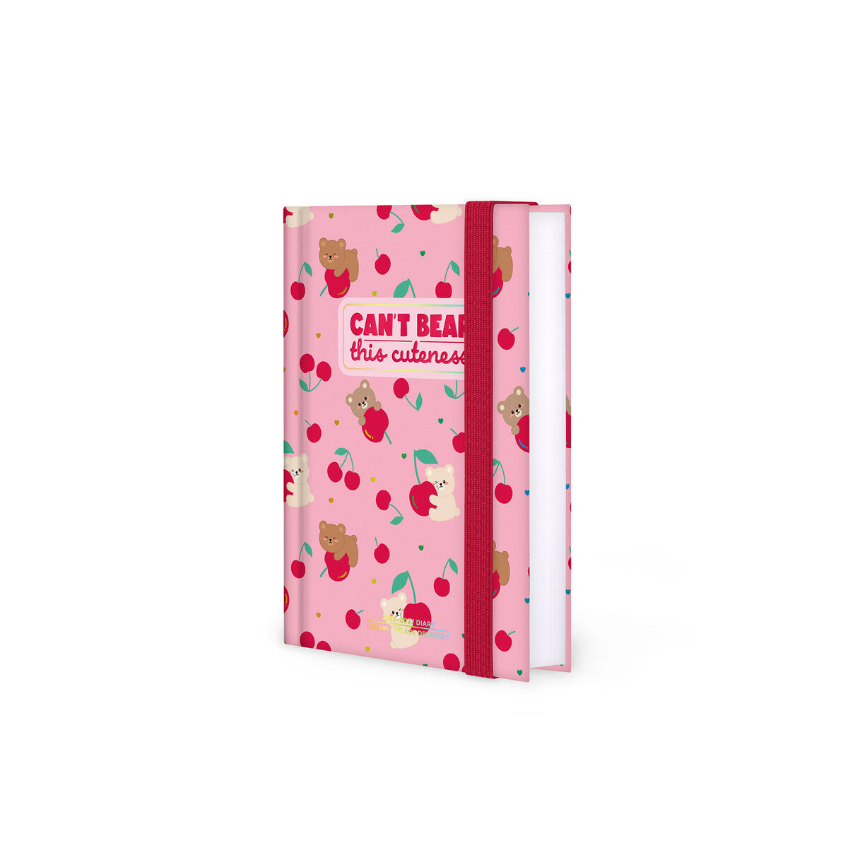 Agenda 2026/2027 Journalier Photographique 16 Mois - Teddy Bear Pink - Small