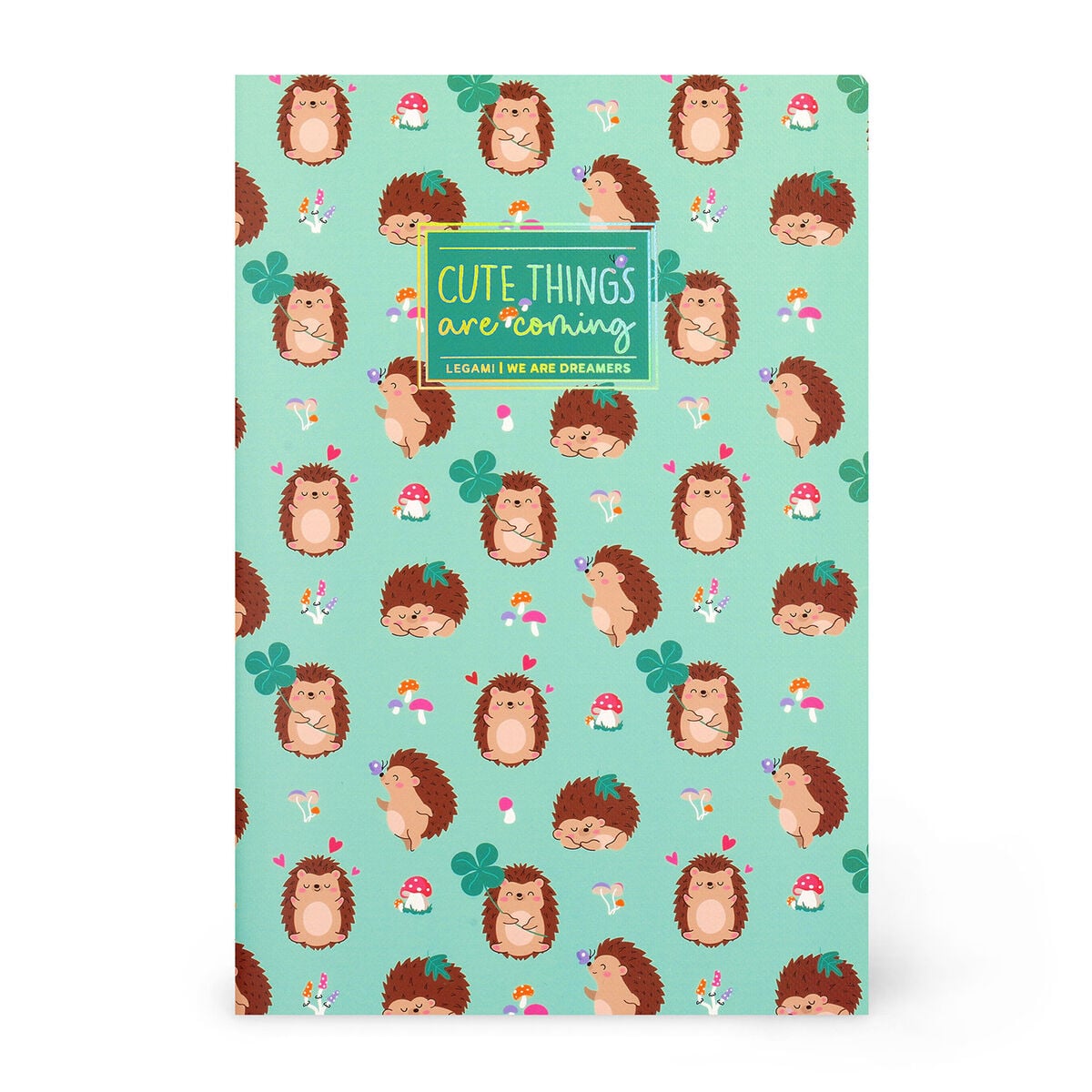 Cahier Ligné B5 à Couverture Rigide Illustré - Hedgehog