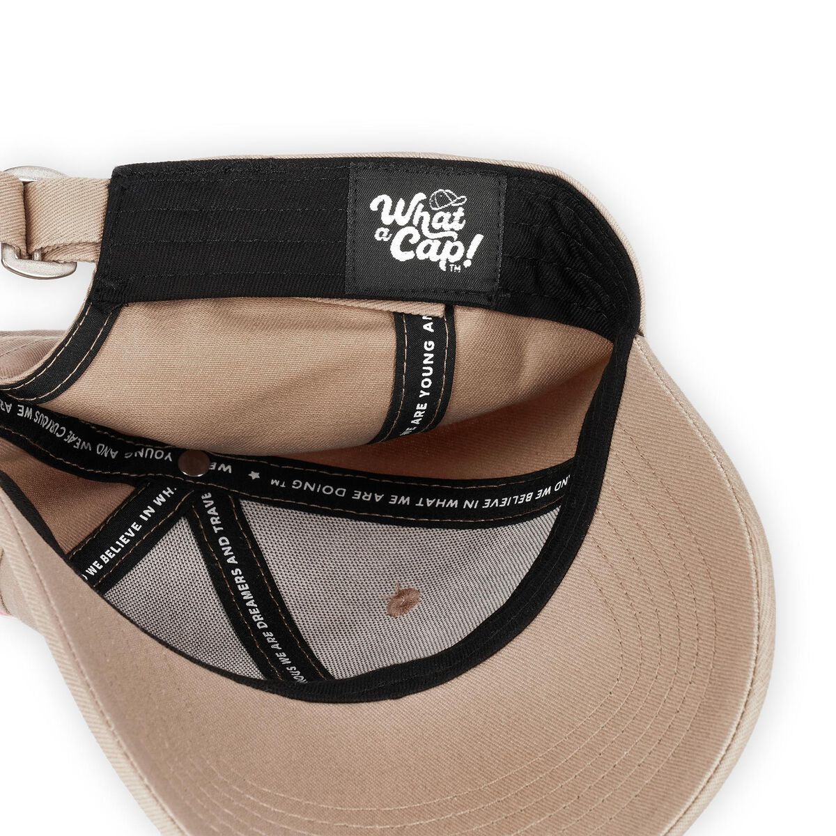 Casquette - Teddy Bear - What a Cap!