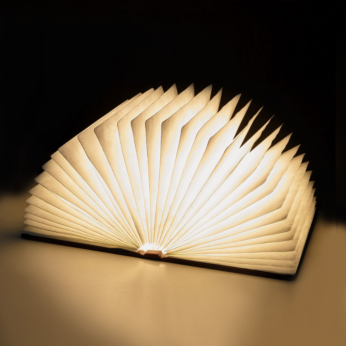 Livre Lumineux - Large Vintage Book - Light Book