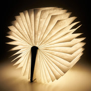 Livre Lumineux - Small Tarot Book - Light Book