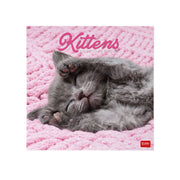 Calendrier Mural 2027 - 30 x 29 cm - Kittens