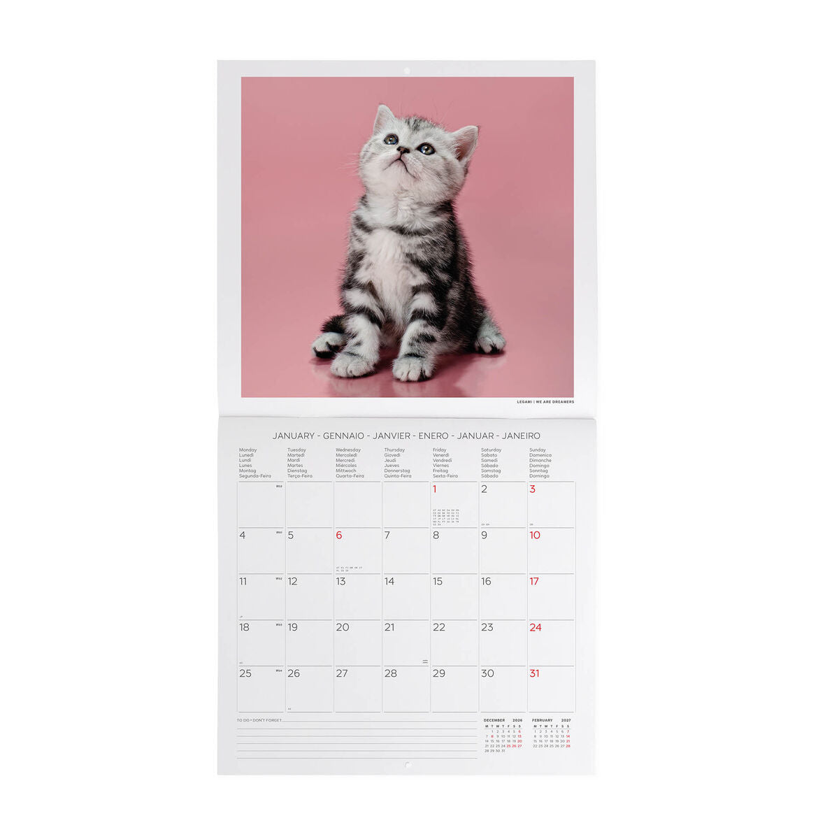Calendrier Mural 2027 - 30 x 29 cm - Kittens