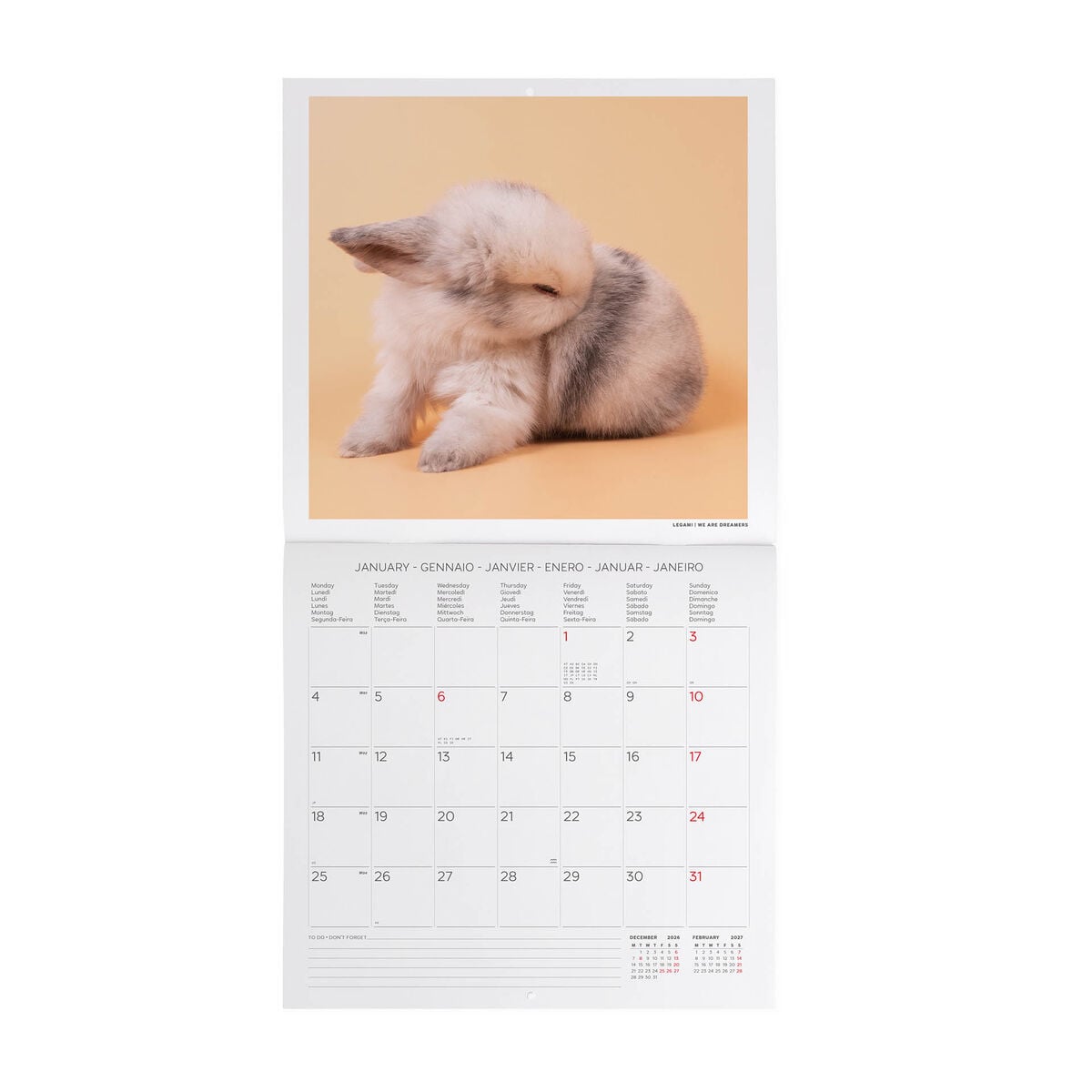 Calendrier Mural 2027 - 30 x 29 cm - Honey Bunny