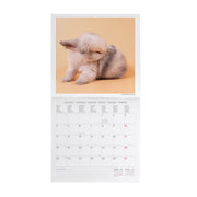 Calendrier Mural 2027 - 30 x 29 cm - Honey Bunny