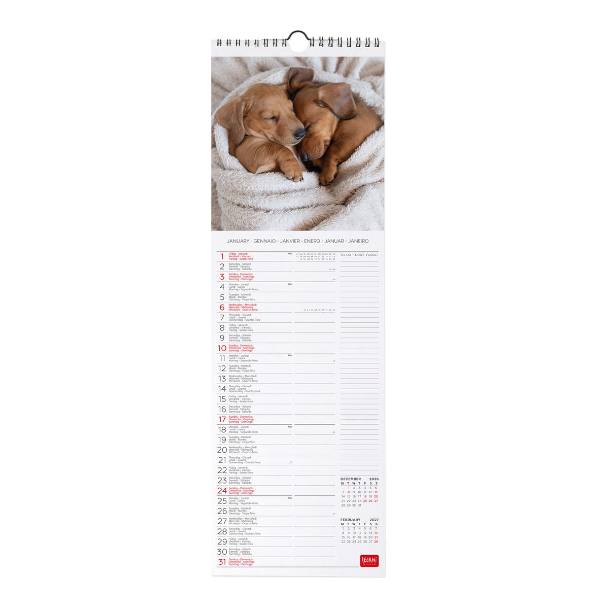 Calendrier Mural 2027 - 16 x 49 cm - Puppies