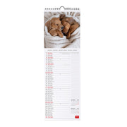Calendrier Mural 2027 - 16 x 49 cm - Puppies