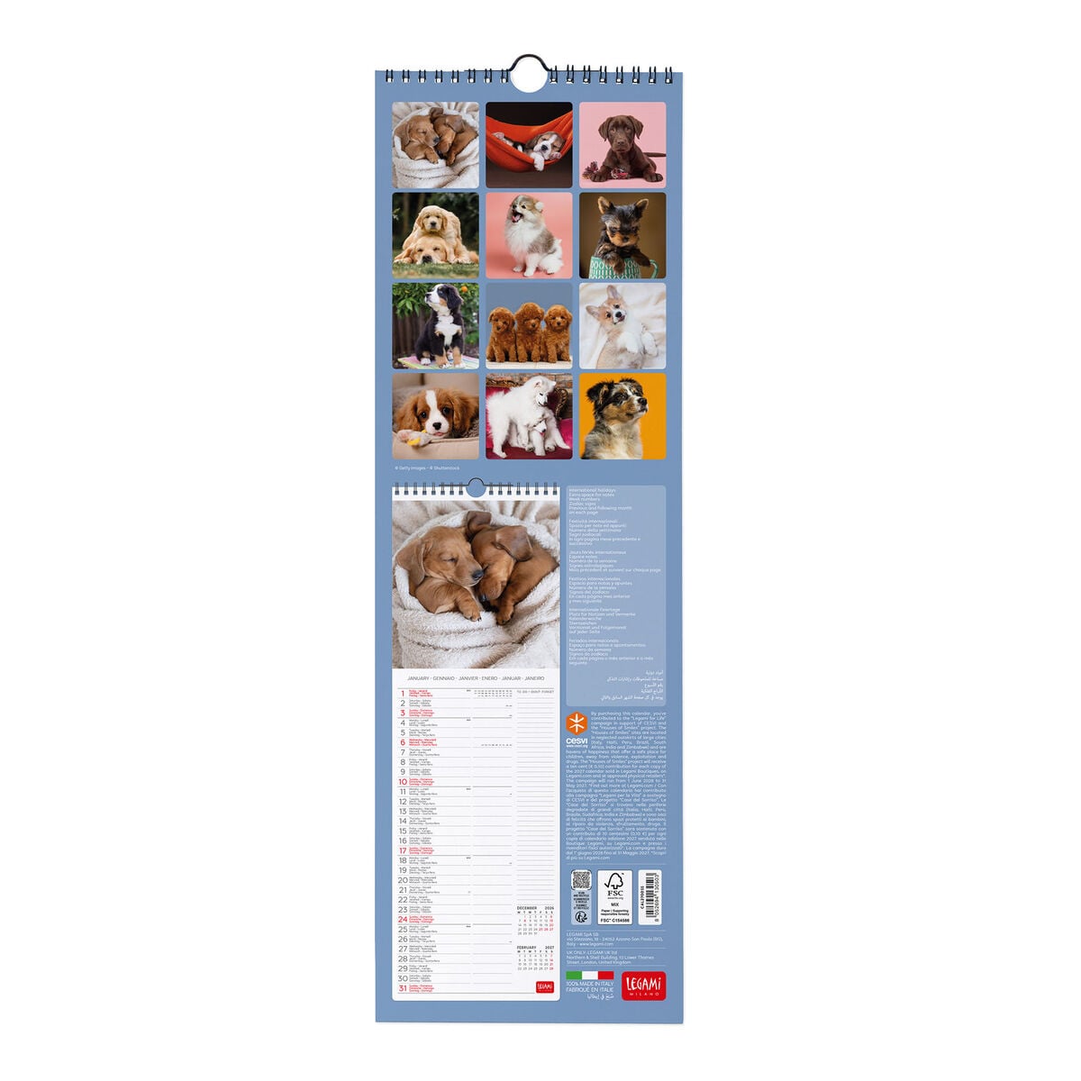 Calendrier Mural 2027 - 16 x 49 cm - Puppies