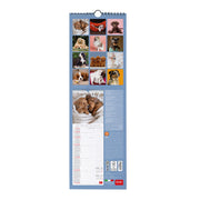 Calendrier Mural 2027 - 16 x 49 cm - Puppies