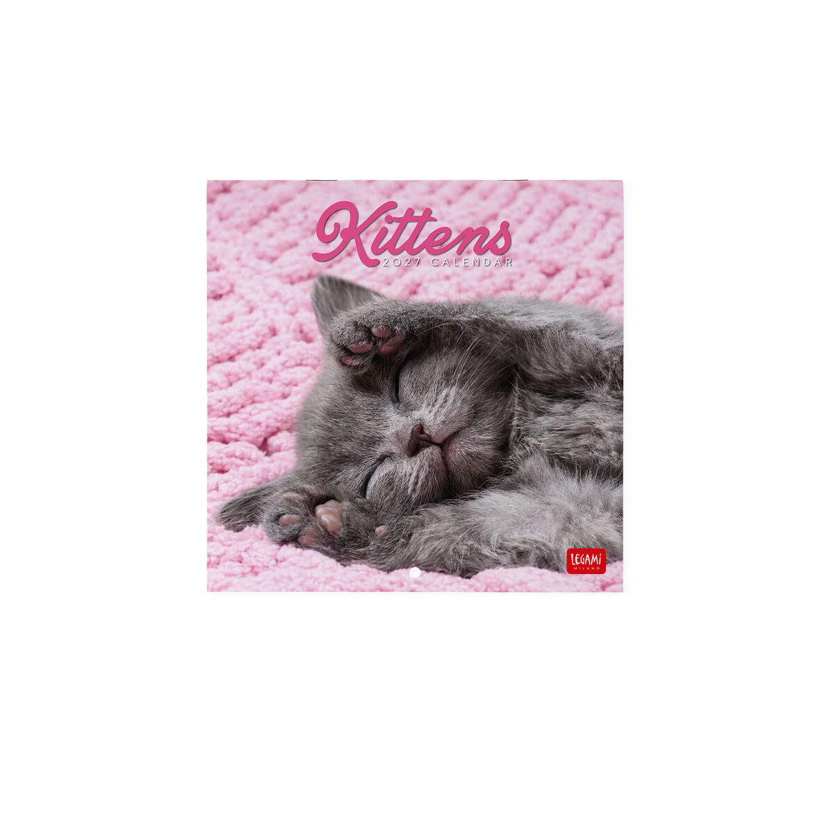 Calendrier Mural 2027 - 18 x 18 cm - Kittens