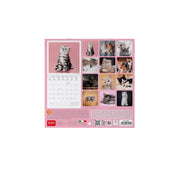 Calendrier Mural 2027 - 18 x 18 cm - Kittens