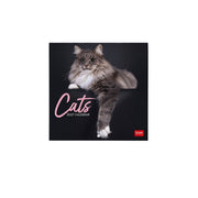 Calendrier Mural 2027 - 18 x 18 cm - Chats