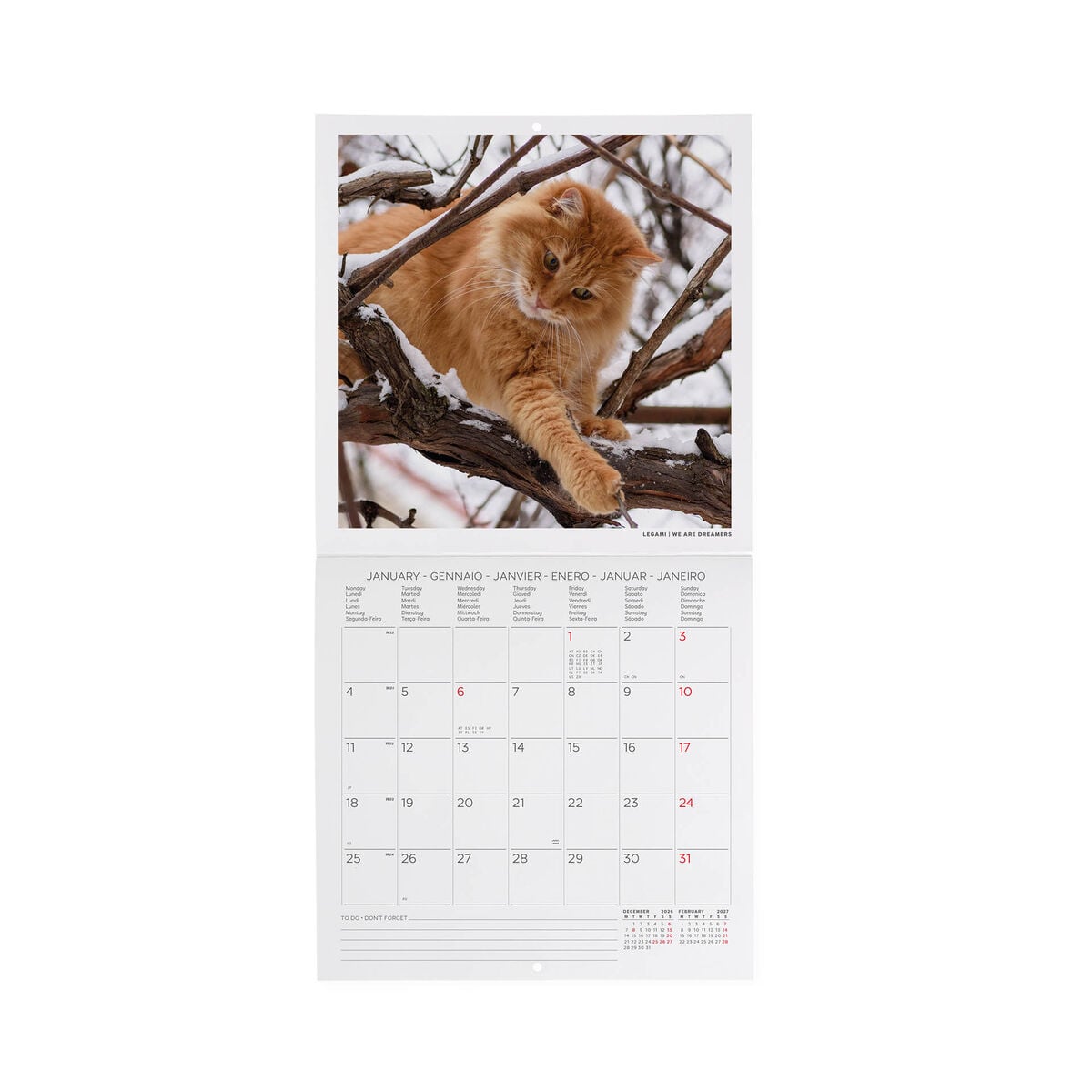 Calendrier Mural 2027 - 18 x 18 cm - Cats