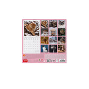 Calendrier Mural 2027 - 18 x 18 cm - Cats