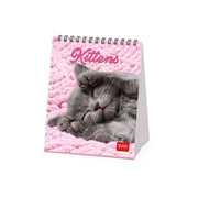 Calendrier de Tableau 2027 - 12 x 14,5 cm - Kittens