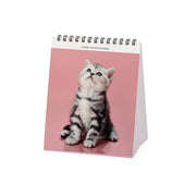 Calendrier de Table 2027 - 12 x 14,5 cm - Kittens