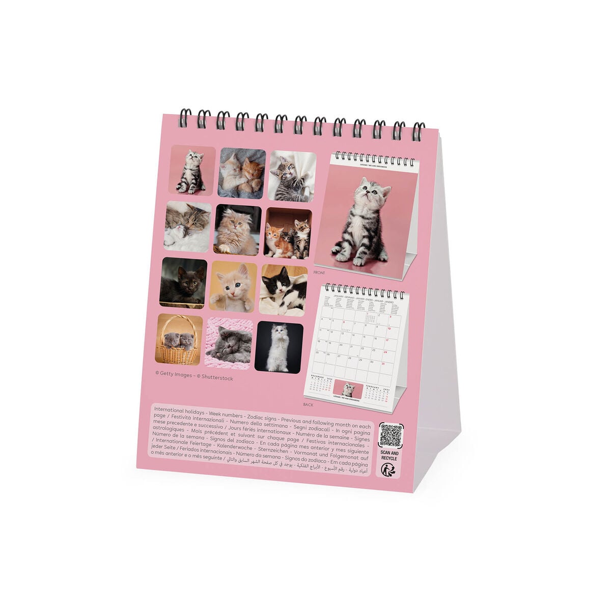 Calendrier de Table 2027 - 12 x 14,5 cm - Kittens