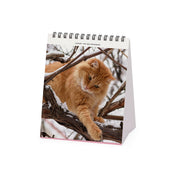 Calendrier de Table 2027 - 12 x 14,5 cm - Cats
