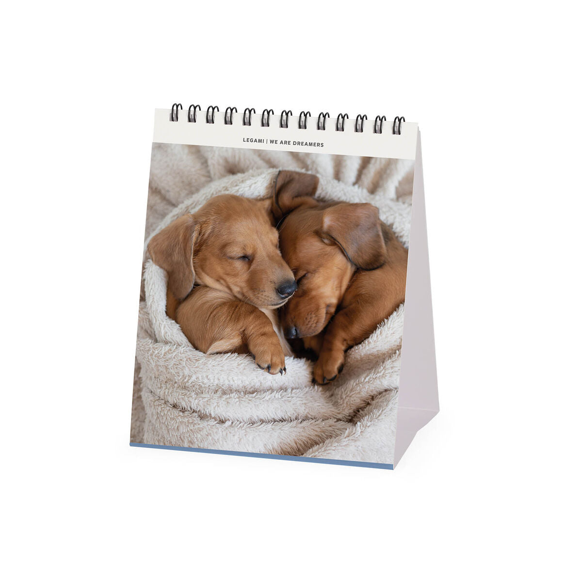 Calendrier de Table 2027 - 12 x 14,5 cm - Puppies