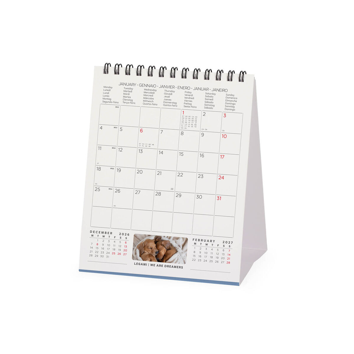 Calendrier de Table 2027 - 12 x 14,5 cm - Puppies