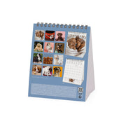 Calendrier de Table 2027 - 12 x 14,5 cm - Puppies