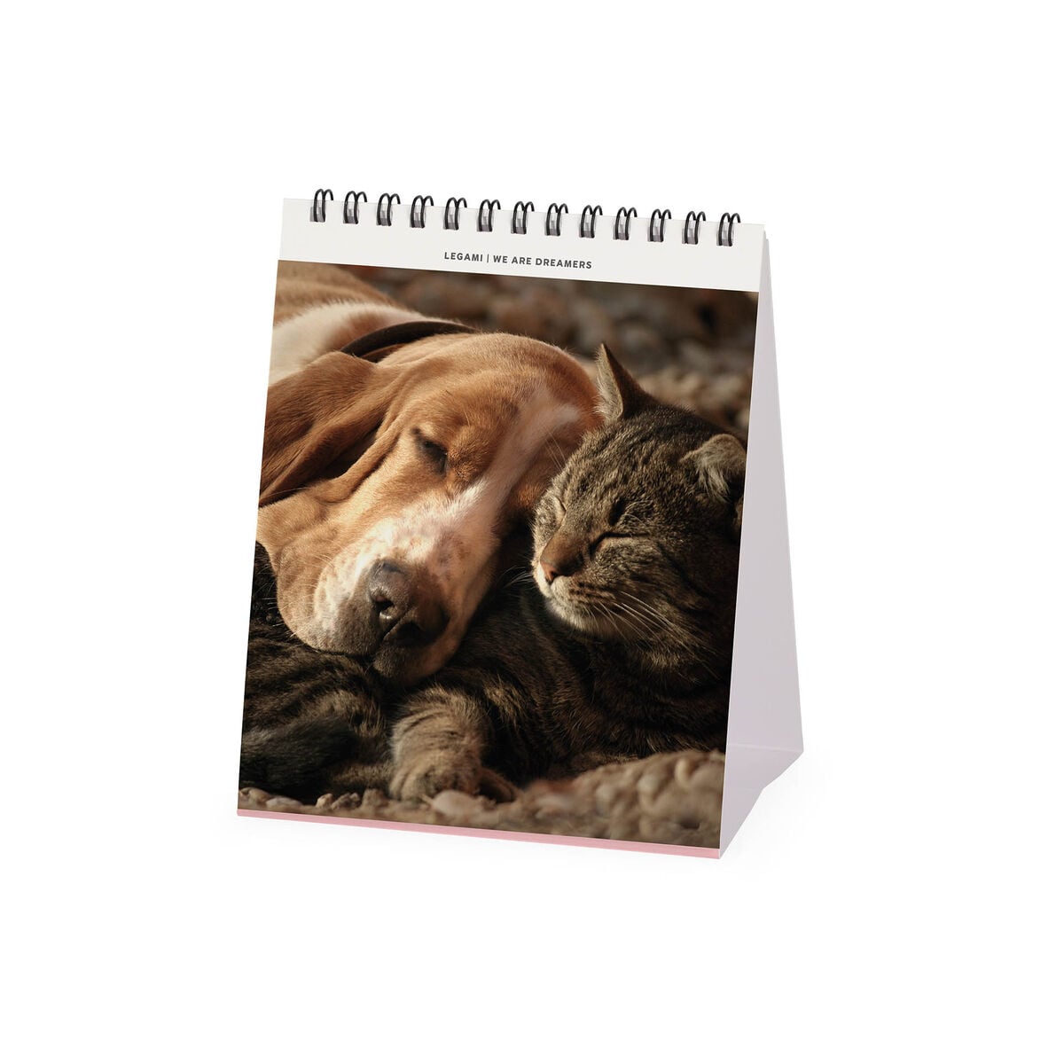 Calendrier de Table 2027 - 12 x 14,5 cm - Best Friends