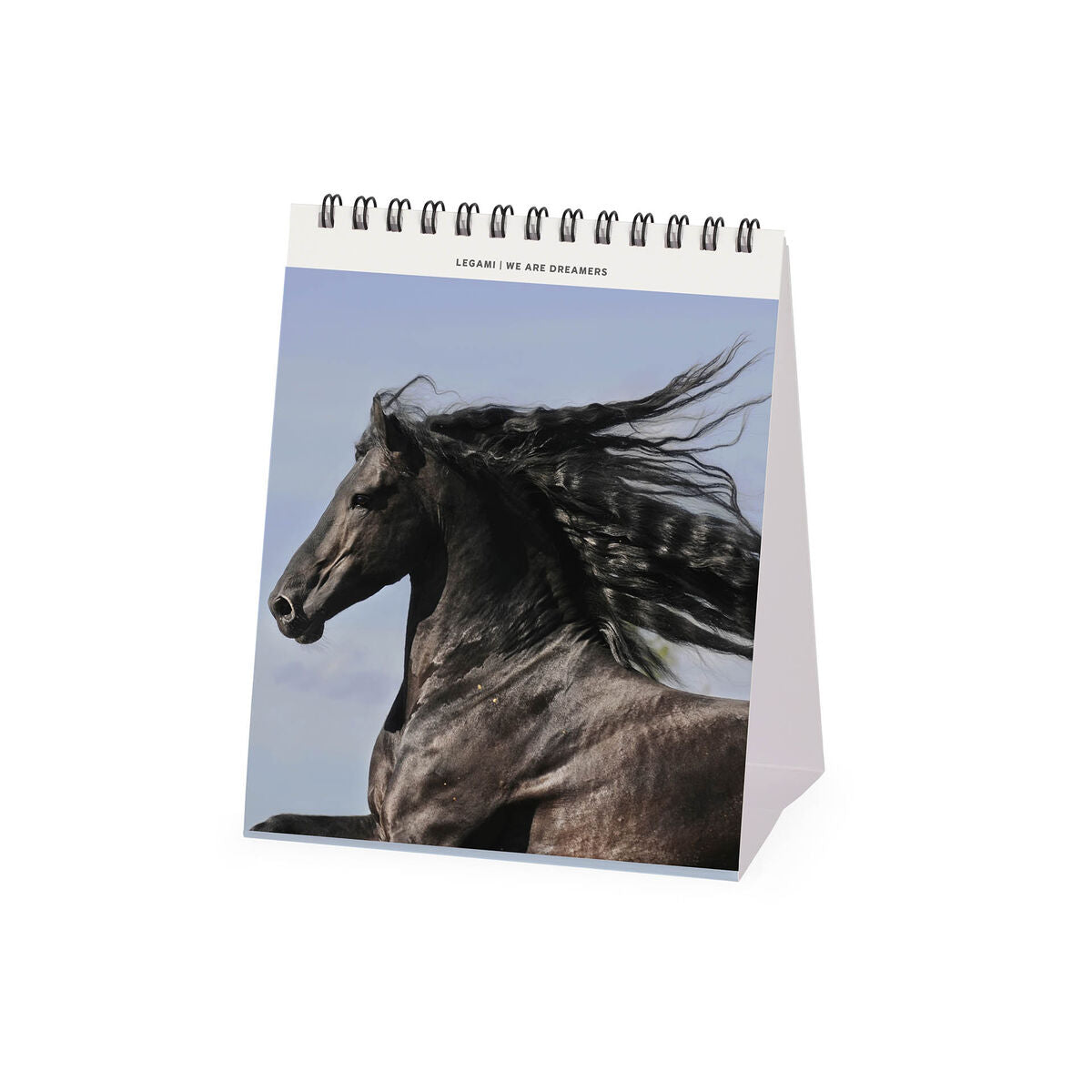 Calendrier de Table 2027 - 12 x 14,5 cm - Wild Horses