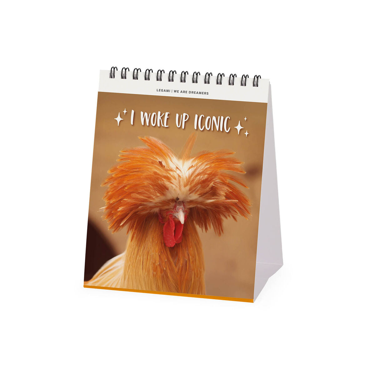 Calendrier de Table 2027 - 12 x 14,5 cm - Take It Easy