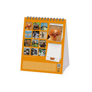 Calendrier de Table 2027 - 12 x 14,5 cm - Take It Easy