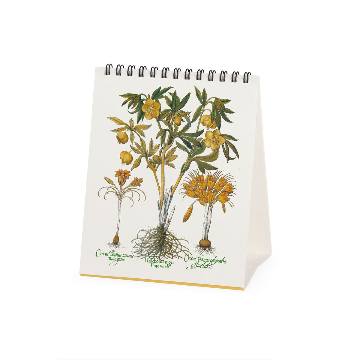 Calendrier de Table 2027 - 12 x 14,5 cm - Herbarium