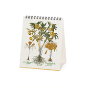 Calendrier de Table 2027 - 12 x 14,5 cm - Herbarium