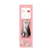 Calendrier Marque-page 2027 - 5,5 x 18 cm - Kittens