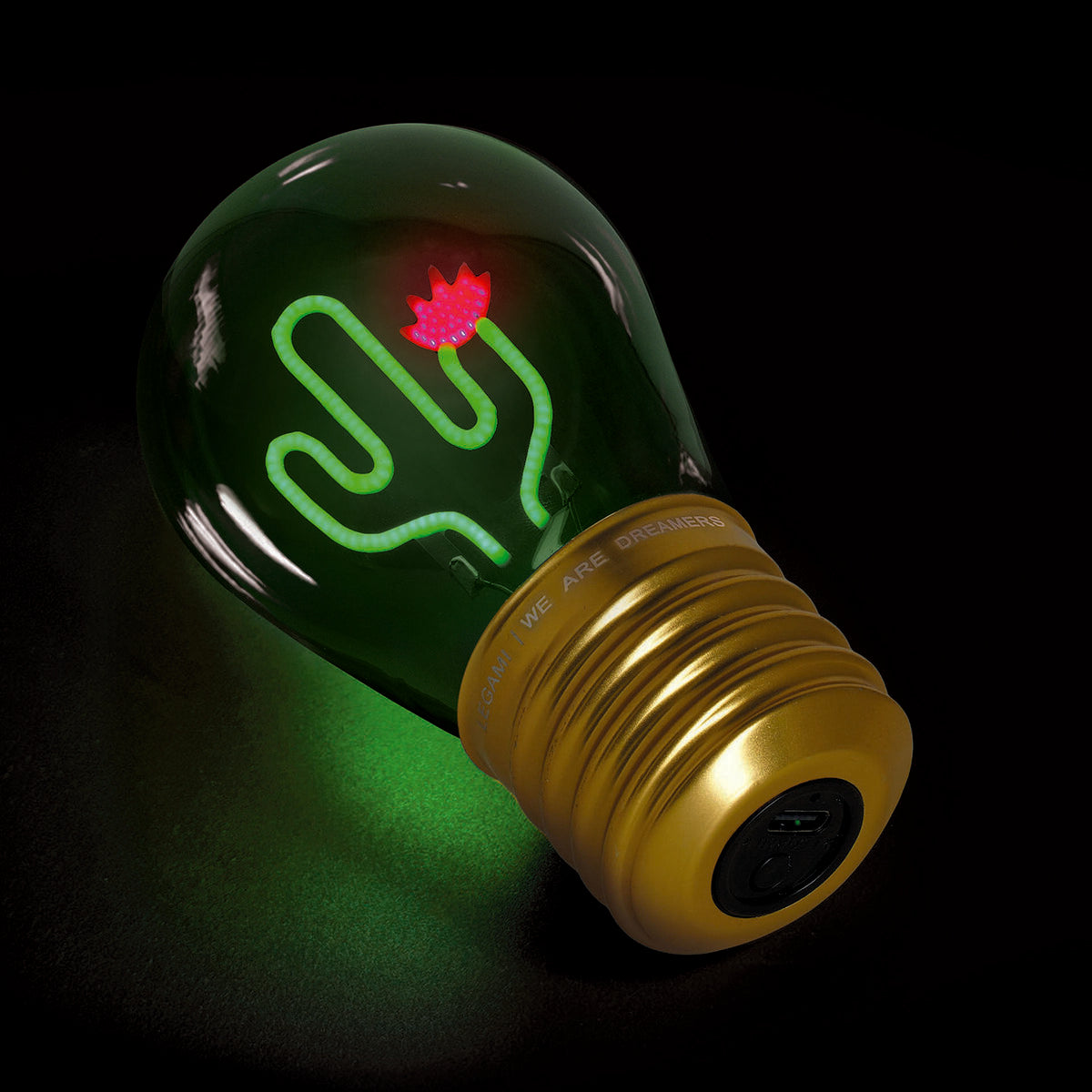 Lampe Décorative de Table en Forme d'ampoule - Cactus - Ampoule Fiction