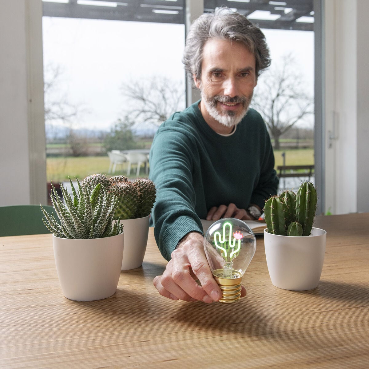 Lampe Décorative de Table en Forme d’Ampoule - Cactus - Bulb Fiction