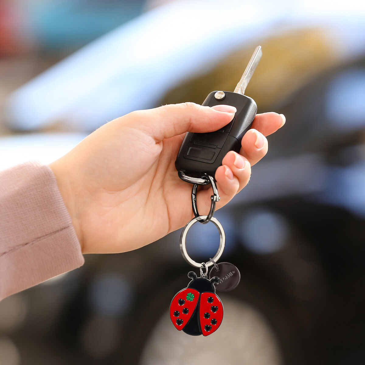 Porte-Clés en Métal Émaillé - Ladybug - What A Key Ring!