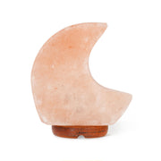 Lampe de Sel de l'Himalaya - Lune - Lampe à sel himalayen