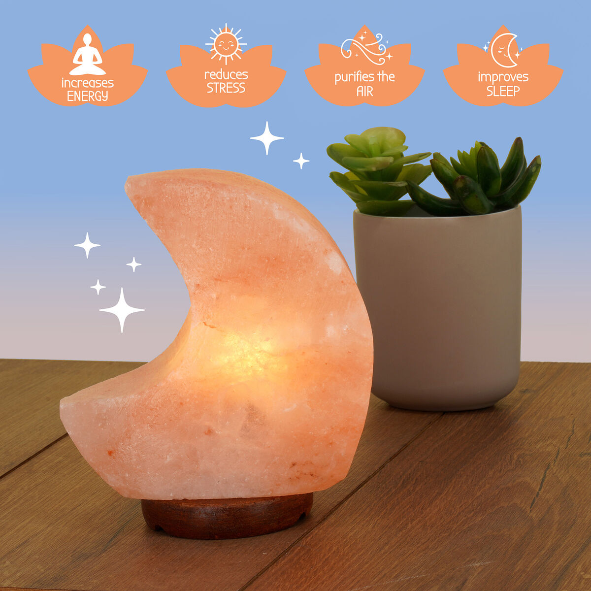 Lampe de Sel de l’Himalaya - Moon - Himalayan Salt Lamp