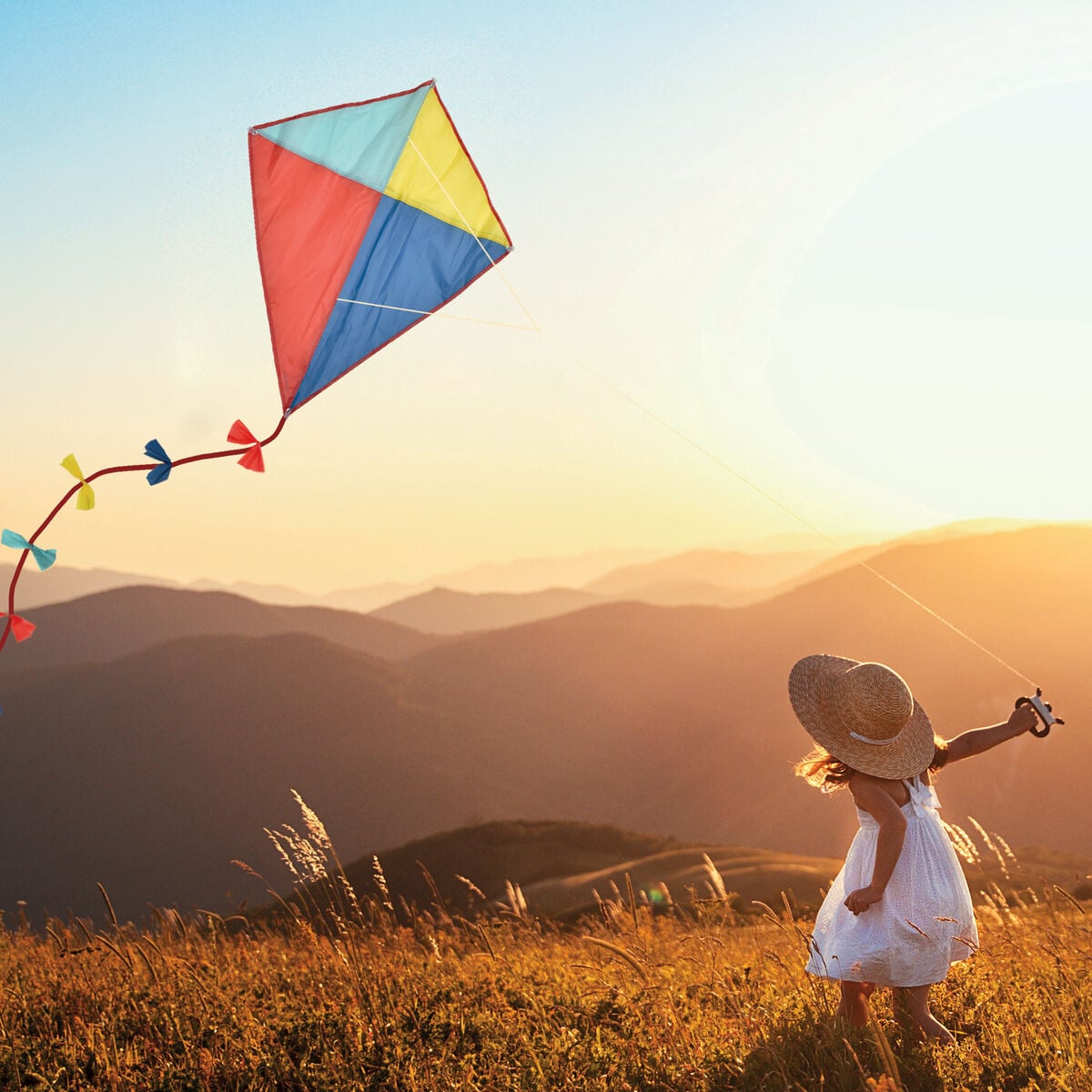 Cerf-volant - Kite