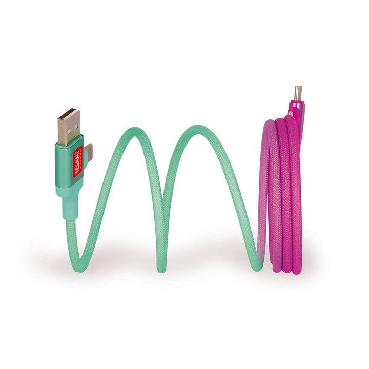 4-in-1-Magnetladekabel zum Laden und Synchronisieren - Magnétisant