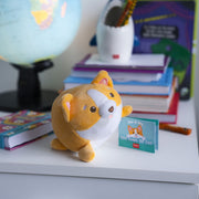 Peluche Corgi - Mini Super Soft!