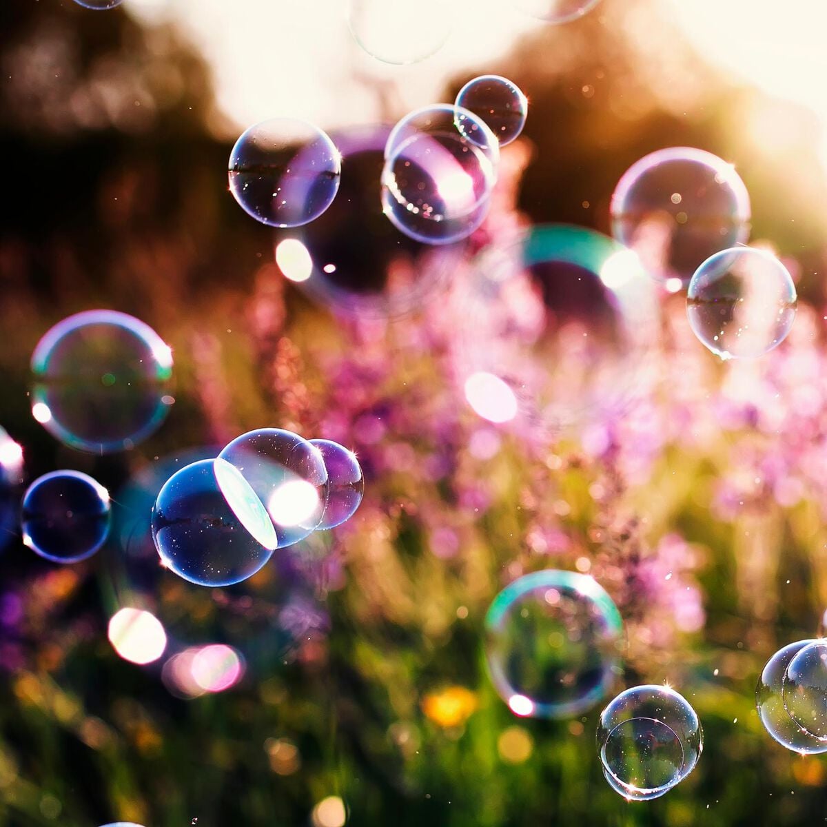 Bulles de Savon - Bubble Bubble