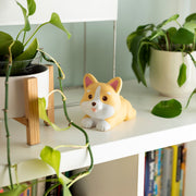 Anti-stress - Corgi - Stress Less